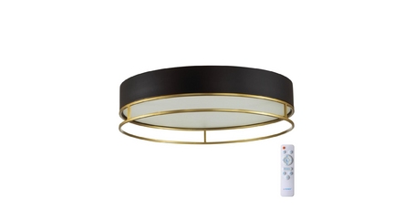 Потолочный светильник Sonex Lofty 7723/100L