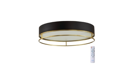 Потолочный светильник Sonex Lofty 7723/100L