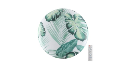 Потолочный светильник Sonex Pale Flori 7748/EL