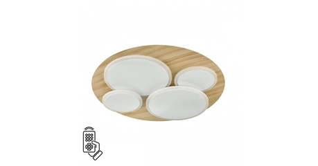 Потолочный светильник Sonex Pine 7734/60L