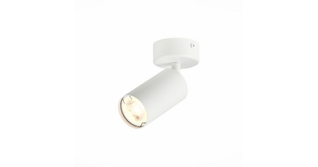 Потолочный светильник ST LUCE ST303.502.01