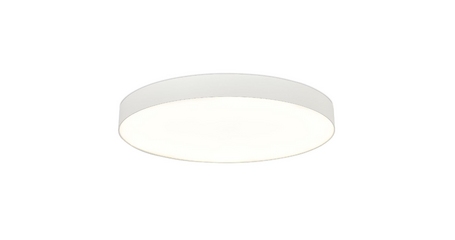 Потолочный светильник ST Luce ST601.542.18