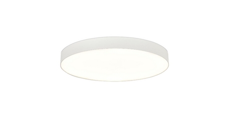 Потолочный светильник ST Luce ST601.542.18