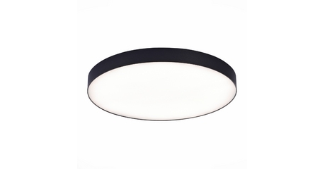 Потолочный светильник ST Luce ST606.442.96