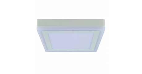 Потолочный светодиодный светильник Arte Lamp Altair A7716PL-2WH