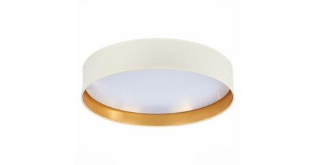 Потолочный светодиодный светильник Evoluce Brescia SLE300552-01