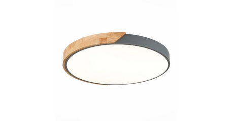 Потолочный светодиодный светильник Evoluce Festa SLE200972-01