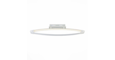 Потолочный светодиодный светильник ST Luce SL920.102.01