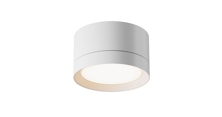 Потолочный светильник Maytoni Technical Hoop C086CL-GX53-SRD-W