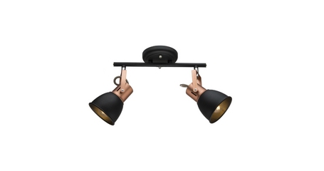 Спот Arte Lamp A1677PL-2BK