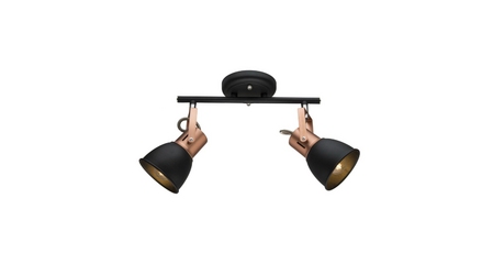 Спот Arte Lamp A1677PL-2BK