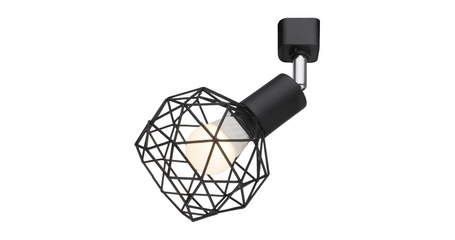 Спот Arte Lamp A6141PL-1BK