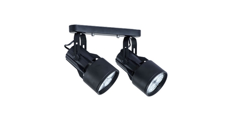 Спот Arte Lamp A6252PL-2BK