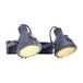Спот Arte Lamp A9178AP-2GY