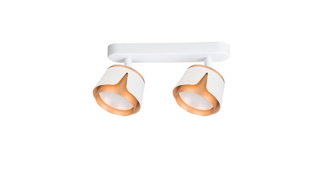 Спот Arte Lamp Amaks A8028PL-2WH