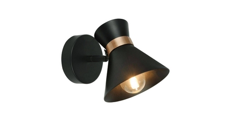 Спот Arte Lamp Baltimore A1406AP-1BK