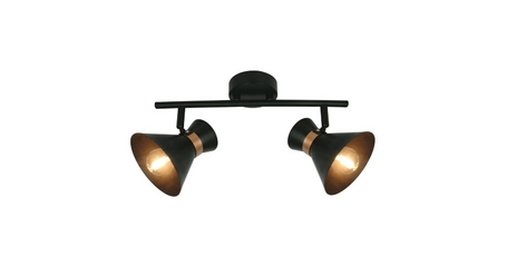 Спот Arte Lamp Baltimore A1406AP-2BK