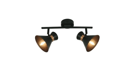 Спот Arte Lamp Baltimore A1406AP-2BK