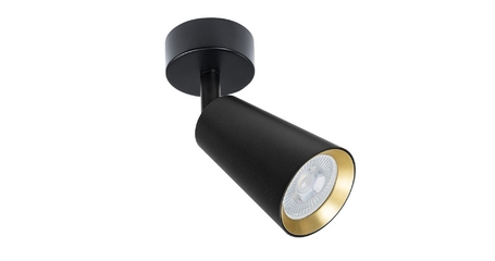 Спот Arte Lamp Cintura A2353PL-1BK