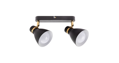 Спот Arte Lamp Fafnir A5047PL-2BK