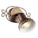 Спот Arte Lamp Focus A5219AP-1BR
