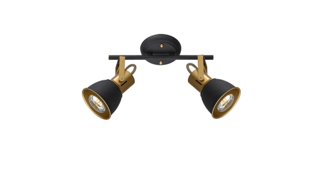 Спот Arte Lamp Jovi A1677PL-2GO