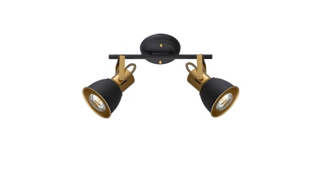 Спот Arte Lamp Jovi A1677PL-2GO