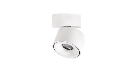 Спот Citilux CL558010N