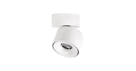 Спот Citilux CL558010N