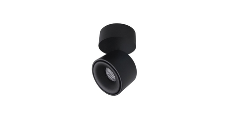 Спот Citilux CL558011N