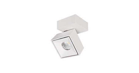 Спот Citilux CL558020N