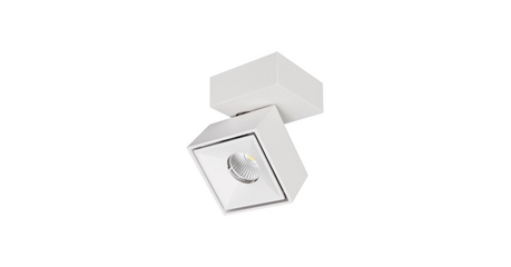 Спот Citilux CL558020N