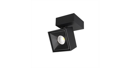 Спот Citilux CL558021N