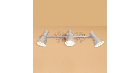 Спот Citilux Дункан CL529532