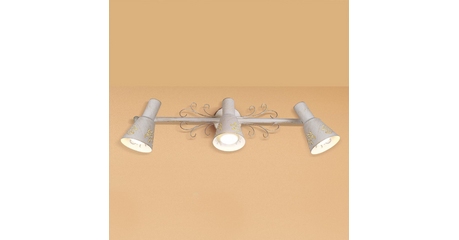 Спот Citilux Дункан CL529532