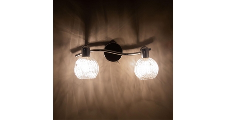 Спот Citilux Попурри CL604521