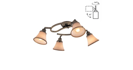 Спот Citilux Прованс CL511143