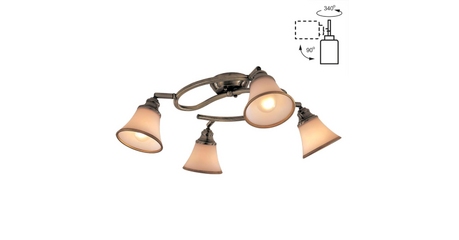 Спот Citilux Прованс CL511143