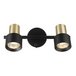 Спот Citilux Sat CL505621