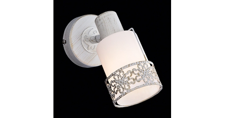 Спот Eurosvet 20025/1 белый с золотом