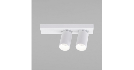 Спот Eurosvet Flank 20139/2 LED белый