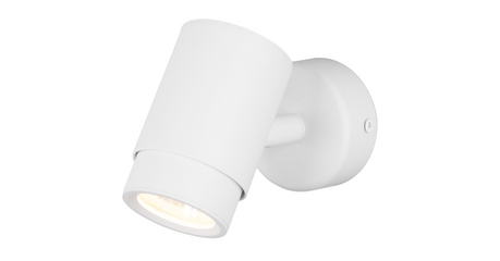 Спот Eurosvet Morgan 20124/1 белый