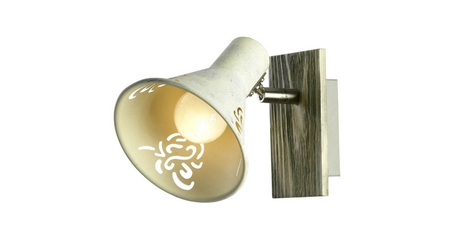 Спот Lussole Lgo GRLSP-8058