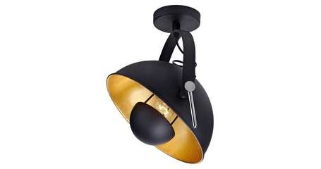 Спот Lussole Loft Bollo LSP-9825