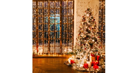 Светодиодный занавес Eurosvet 200-002 белый 2*3м IP20