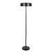 Торшер Arte Lamp Skat A7052PN-2BK