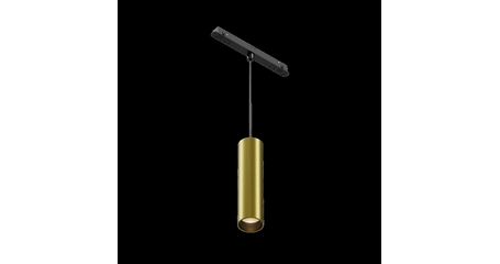 Трековый магнитный светильник Maytoni Focus Led TR041-2-12W3K-BBS