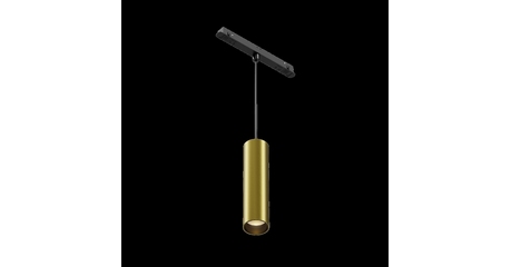 Трековый магнитный светильник Maytoni Focus Led TR041-2-12W3K-BBS