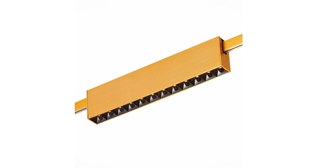 Трековый магнитный светильник ST Luce Farm ST816.246.12