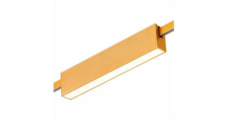 Трековый магнитный светильник ST Luce Farm ST817.206.12